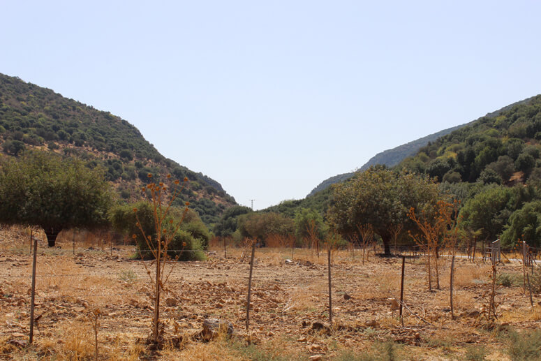 נחל דישון נחל דישון